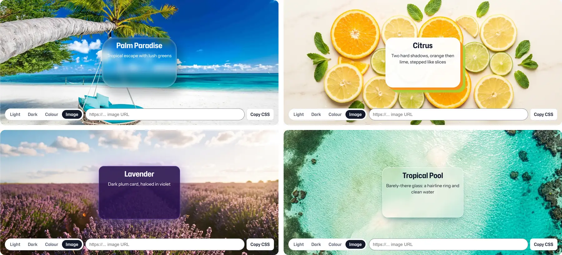 Four box shadow presets on photo backgrounds: palm beach, citrus slices, lavender field and a tropical pool